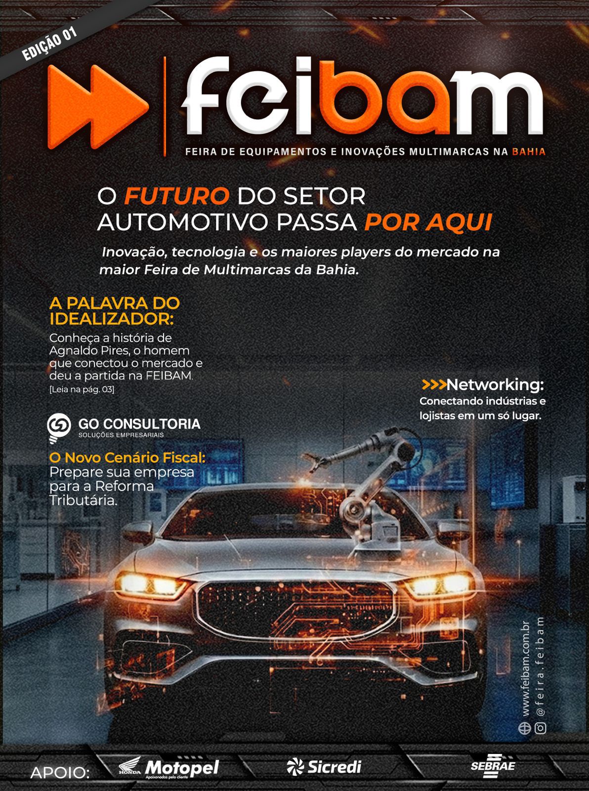 Capa da Revista FEIBAM
